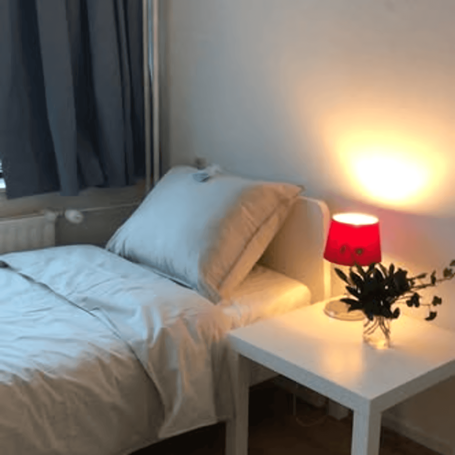 Kamer in De Bilt
